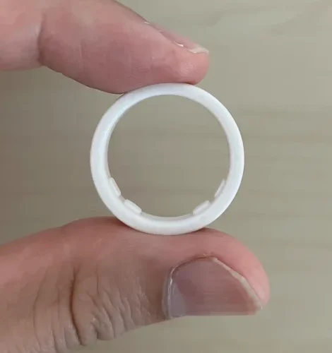 Oura Ring 5サイジングキットのサイズ10(USモデル)の内側